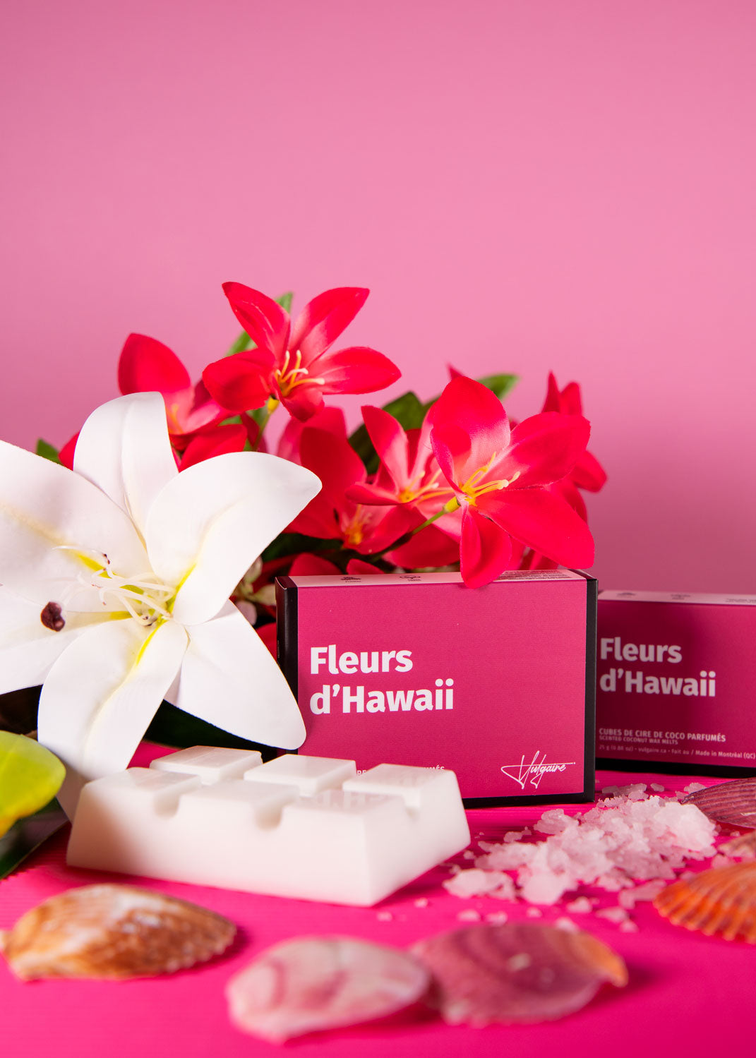 Cubes de cire Fleurs d'Hawaii