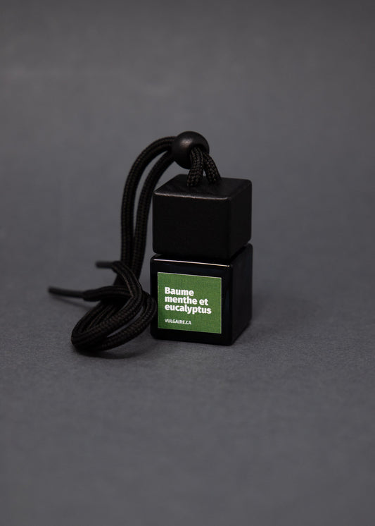 Diffuseur pour voiture Baume menthe et eucalyptus