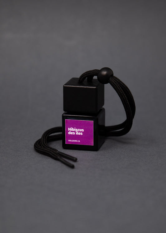 Diffuseur pour voiture Hibiscus des îles