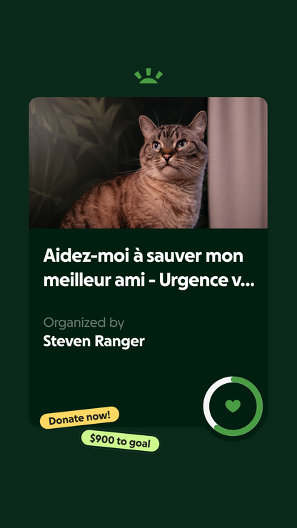 Candle Folle aux chats